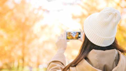 お出かけの参考に!秋のおすすめ情報まとめ