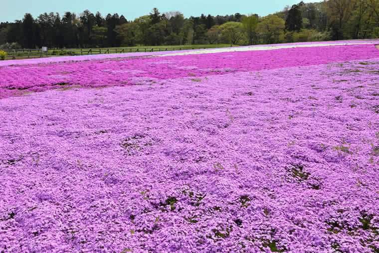 富田さとにわ耕園(富田都市農業交流センター)