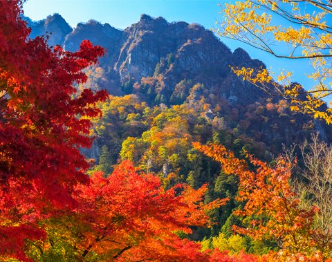 紅葉の妙義山