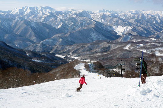 水上宝台樹スキー場(宝川温泉)