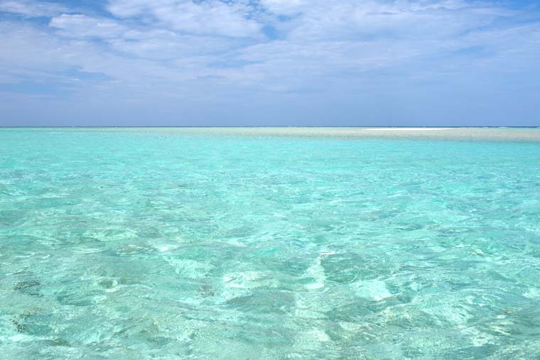 大金久海岸(百合ケ浜)