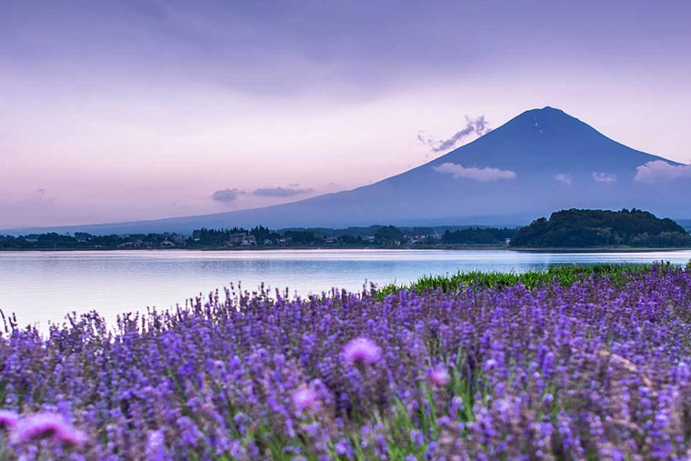 富士山 周辺エリア
