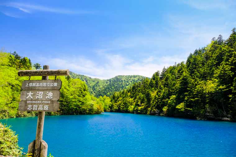 大沼池