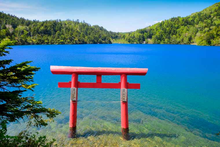 大沼池