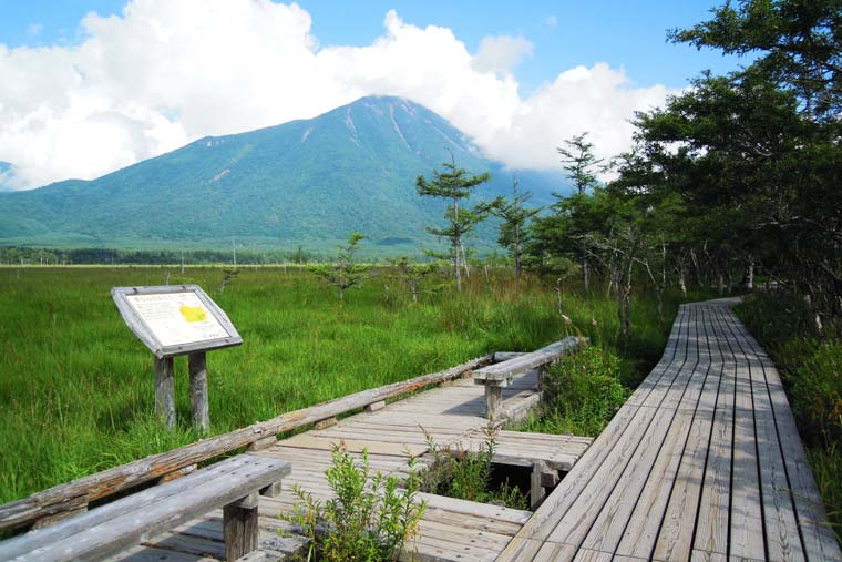戦場ヶ原