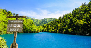 大沼