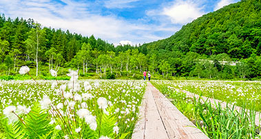 田ノ原湿原