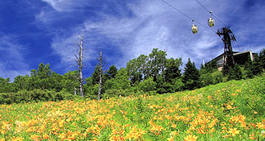 東館山