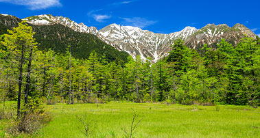 田代湿原