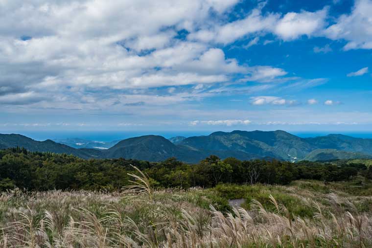 黄金色の絶景 日本国内の美しいススキの名所 楽天トラベル