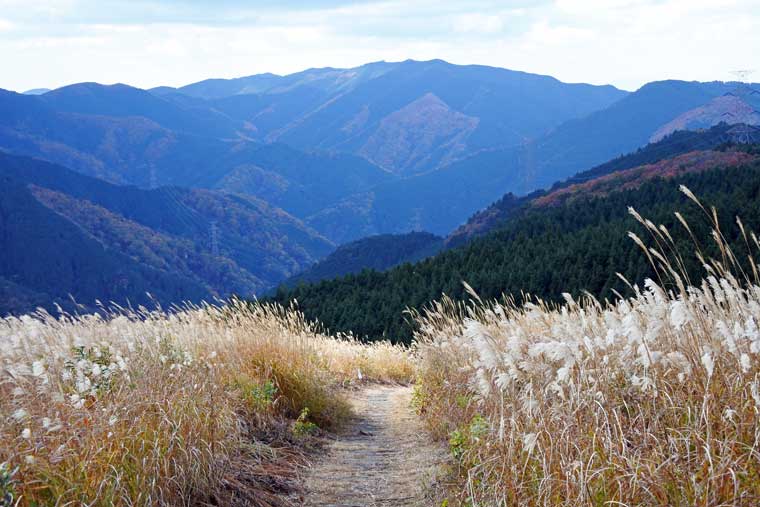 岩湧山