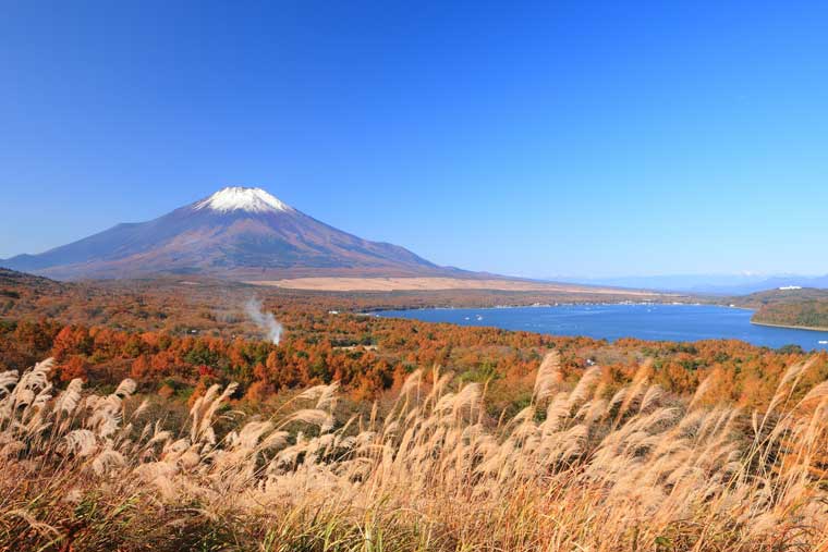 パノラマ台