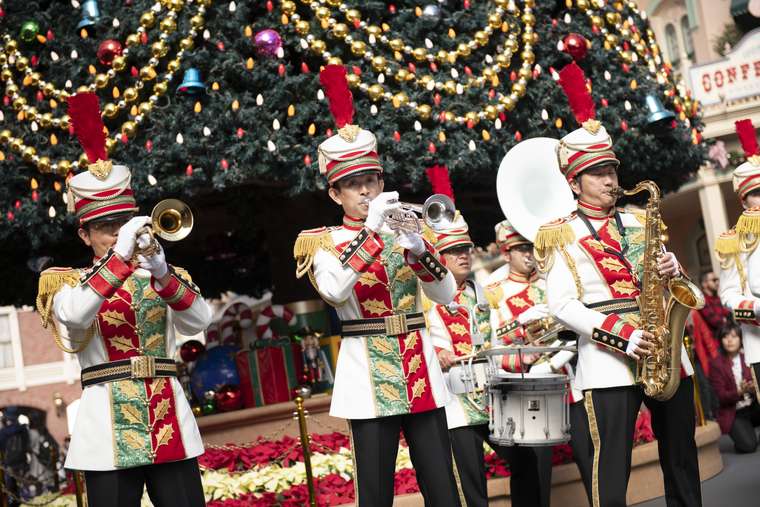 東京ディズニーランド ディズニークリスマス ツリー