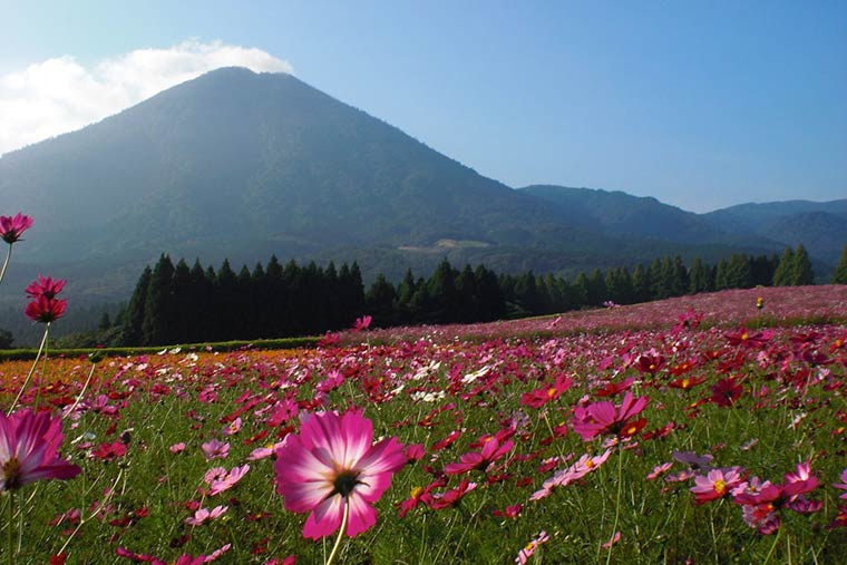 生駒高原