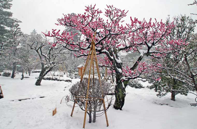 兼六園