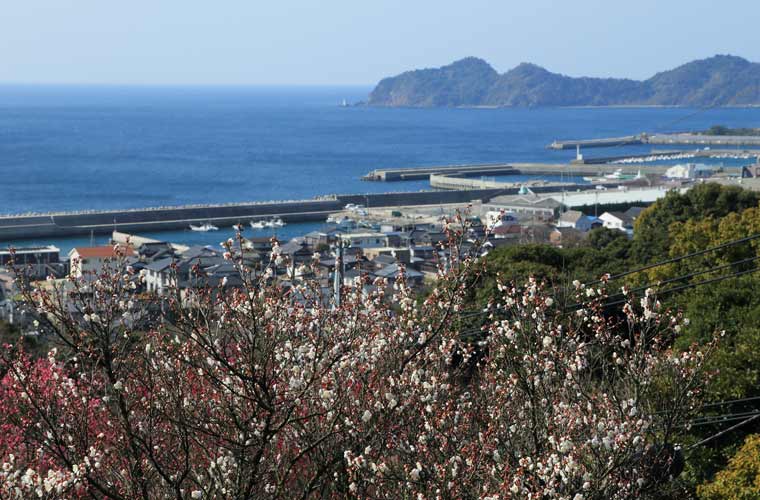 冠山総合公園
