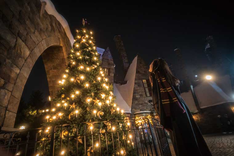 ホグズミード村のクリスマス・ツリー