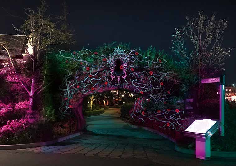 USJ「大人ハロウィーン・エリア ~呪われた薔薇園~」