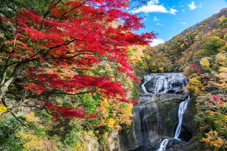 袋田の滝