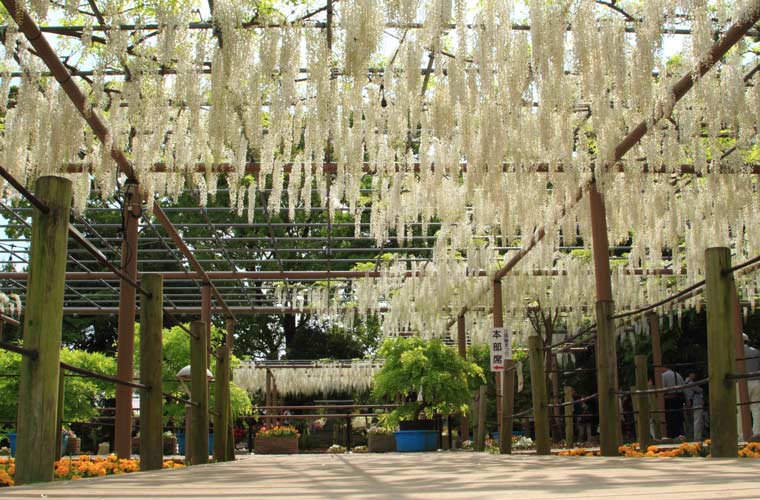 曼陀羅寺公園