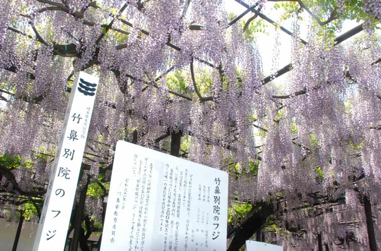 竹鼻別院