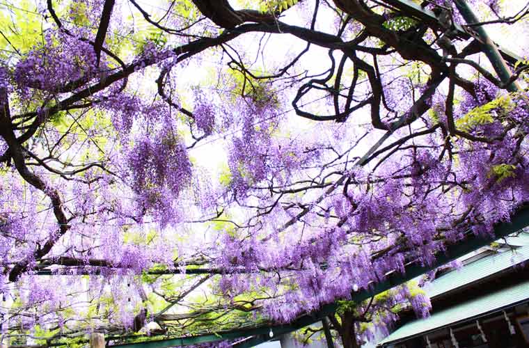 國領神社