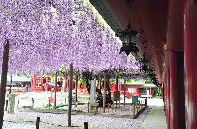笠間稲荷神社