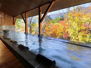 鬼怒川温泉　静寂とまごころの宿　七重八重