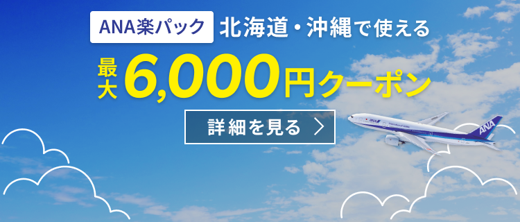 ボーナスプログラム