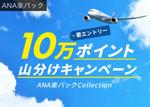 楽パック 国内ツアー 航空券 宿 楽天トラベル