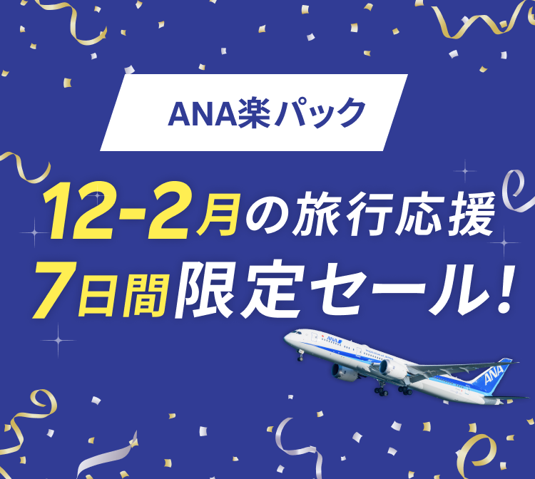 ana 安い ビジネスパック 仙台発大阪