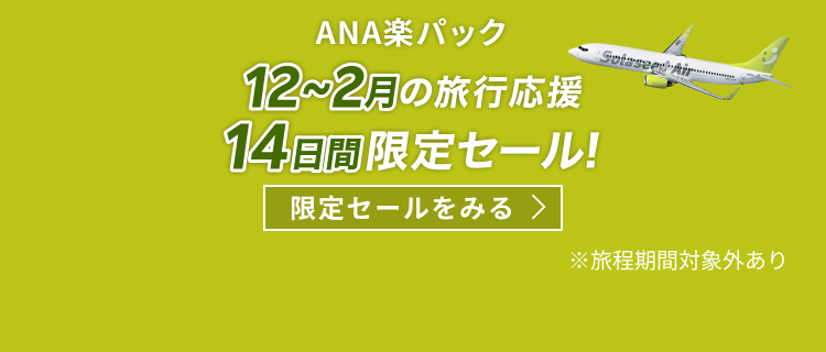 【ANA楽パック】ソラシドエア単独DP運賃セール