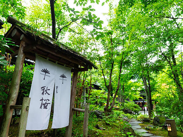 由布院温泉　草庵秋桜