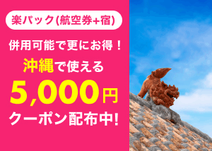 楽パック 国内ツアー 航空券 宿 楽天トラベル