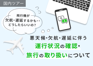 楽パック 国内ツアー 航空券 宿 楽天トラベル