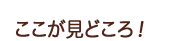 ここが見どころ!