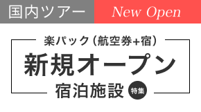 人気 国内 飛行機 パック