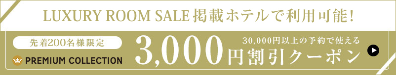 3,000円割引クーポン