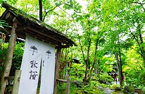 由布院温泉　草庵秋桜