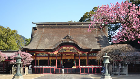 太宰府天満宮(福岡県)