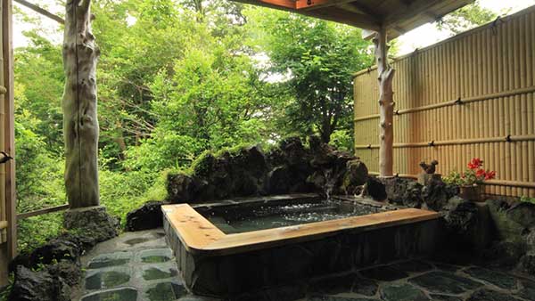 ペットと泊まれる貸切天然温泉の宿 マーフィ