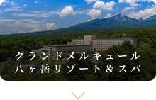 グランドメルキュール八ヶ岳リゾート＆スパ