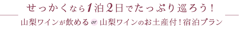 せっかくなら1泊2日でたっぷり巡ろう！山梨ワインが飲める or 山梨ワインのお土産付！宿泊プラン