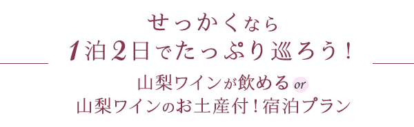 せっかくなら1泊2日でたっぷり巡ろう！山梨ワインが飲める or 山梨ワインのお土産付！宿泊プラン