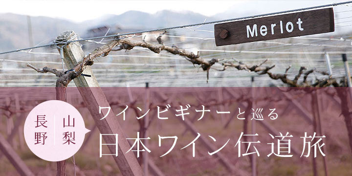 ワインビギナーと巡る、日本ワイン伝道旅