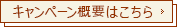 キャンペーン概要はこちら