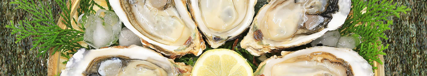 Oyster全国制覇しちゃう!?牡蠣の産地で牡蠣三昧♪