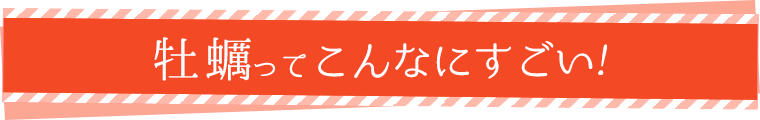 牡蠣ってこんなにすごい!