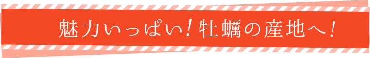 魅力いっぱい！牡蠣の産地へ！