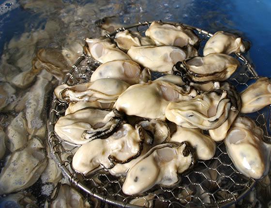 江田島産の牡蠣